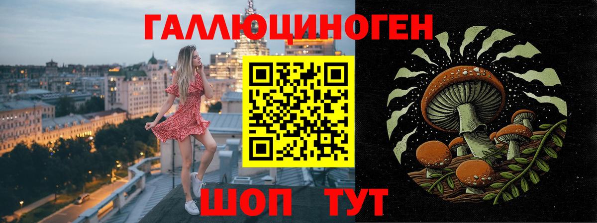 Чита  Псилоцибиновые грибы MAGIC MUSHROOMS  как найти закладки  Вход с VPN 
